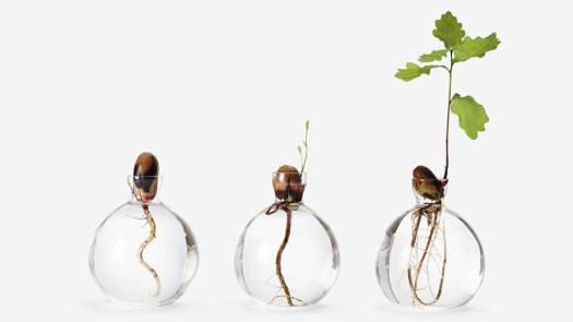 CF80E795-E711-4E5A-9D58-DB4965C590CE-352-0000013855659325